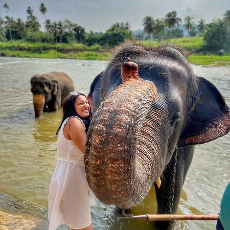Elephant Park Family Bungalow Udawalawe Luaran gambar
