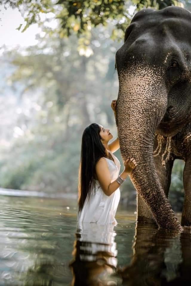 Elephant Park Family Bungalow Udawalawe Luaran gambar