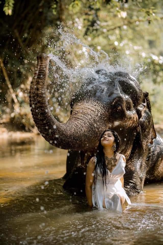 Elephant Park Family Bungalow Udawalawe Luaran gambar