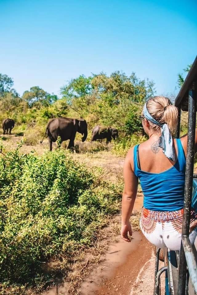 Elephant Park Family Bungalow Udawalawe Luaran gambar