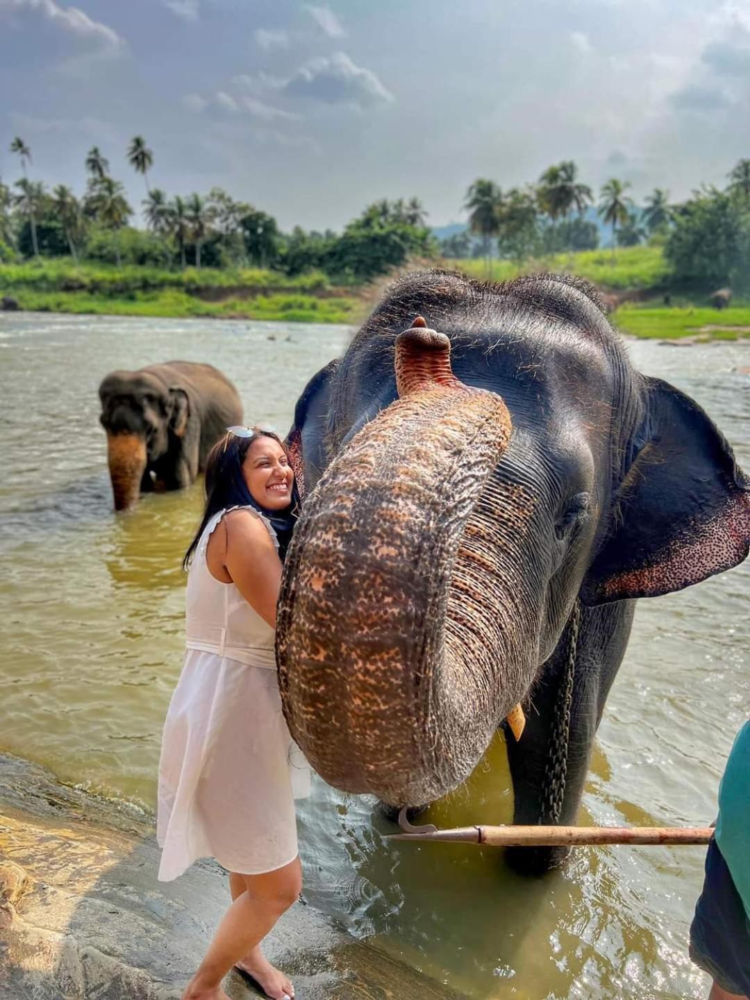 Elephant Park Family Bungalow Udawalawe Luaran gambar