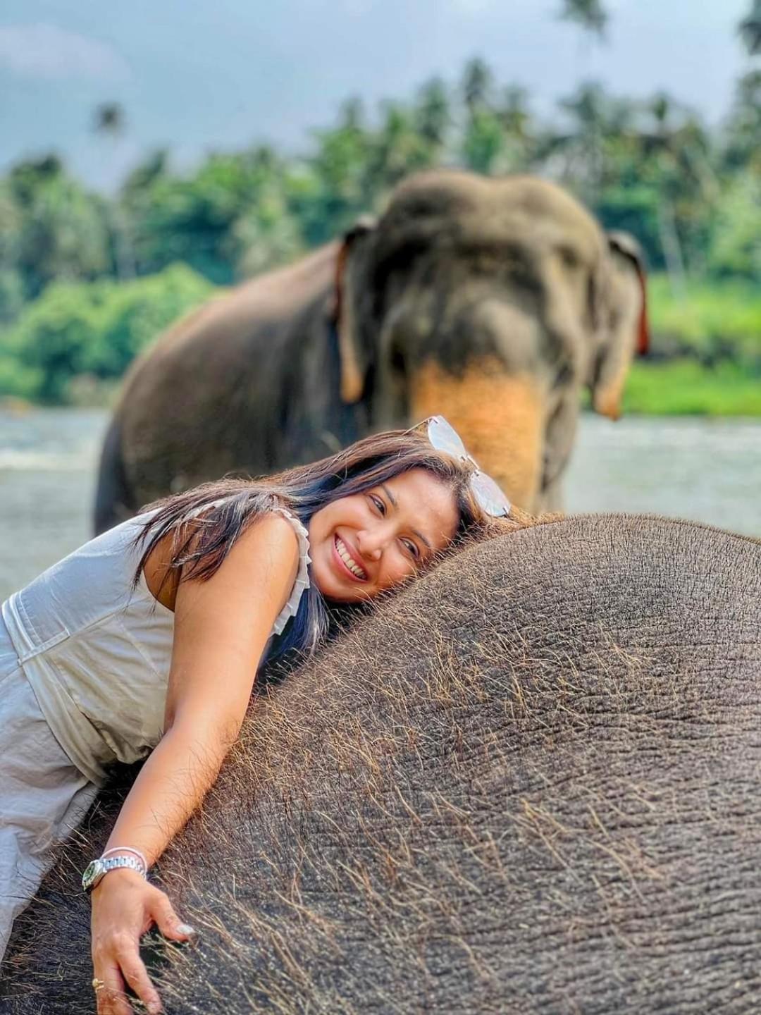 Elephant Park Family Bungalow Udawalawe Luaran gambar