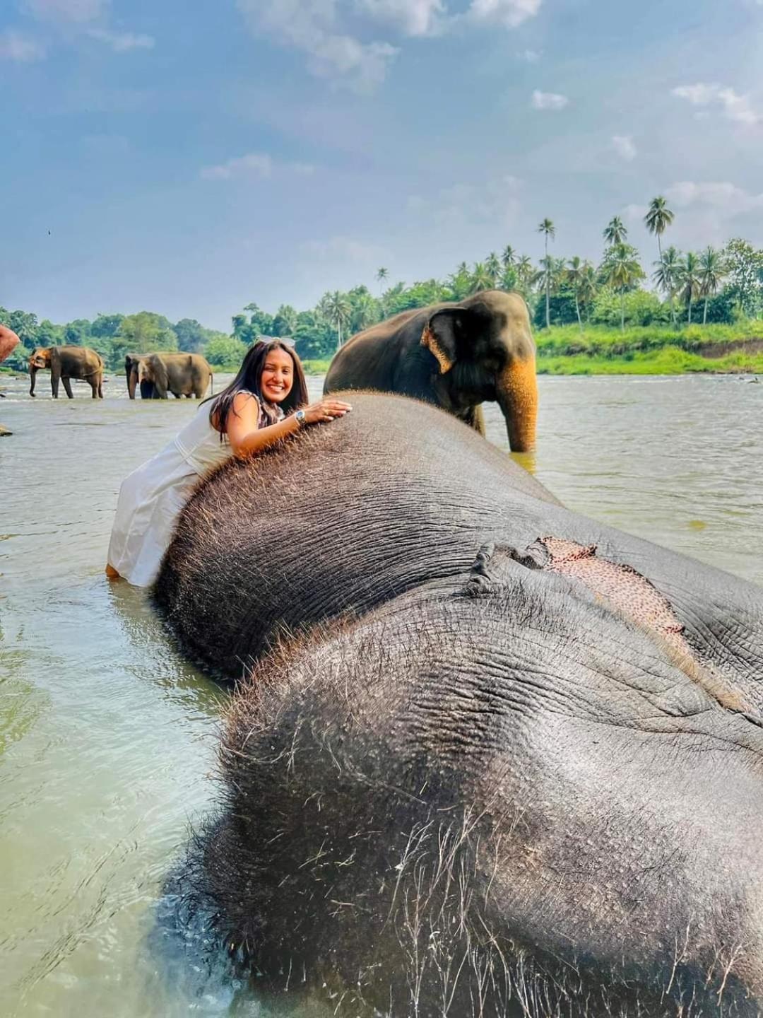 Elephant Park Family Bungalow Udawalawe Luaran gambar